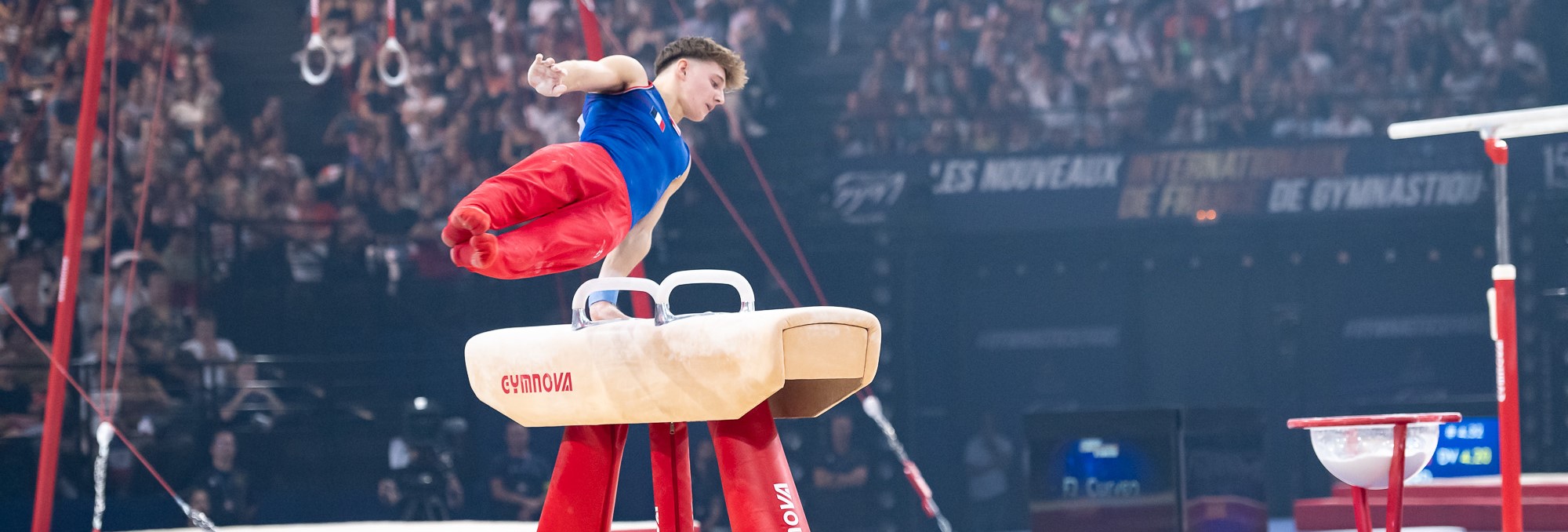 Pommel horses Pommel horses